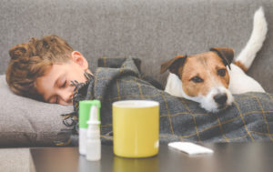 Little boy with dog lying on sofa and medicine at foreground; blog: Difference Between Cold and Flu